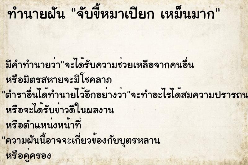 ทำนายฝันจับขี้หมาเปียกเหม็นมาก ทำนายฝันทำนายฝันจับขี้หมาเปียกเหม็นมาก